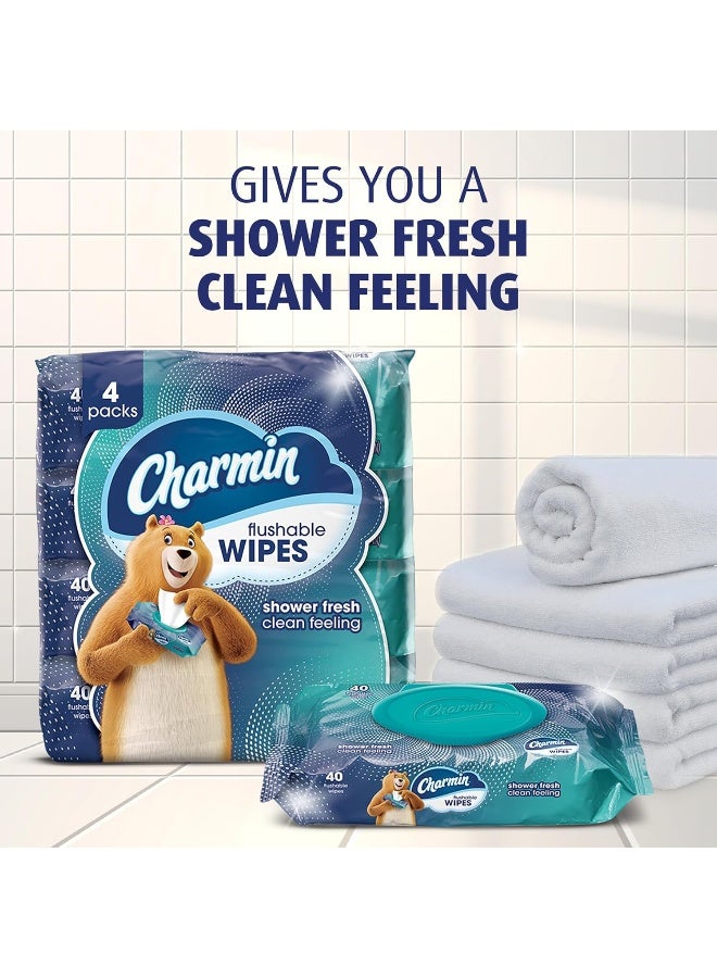 Charmin Flushable Wipes, 40 Wipes (Pack of 4), 160 Total Wipes - Image 2